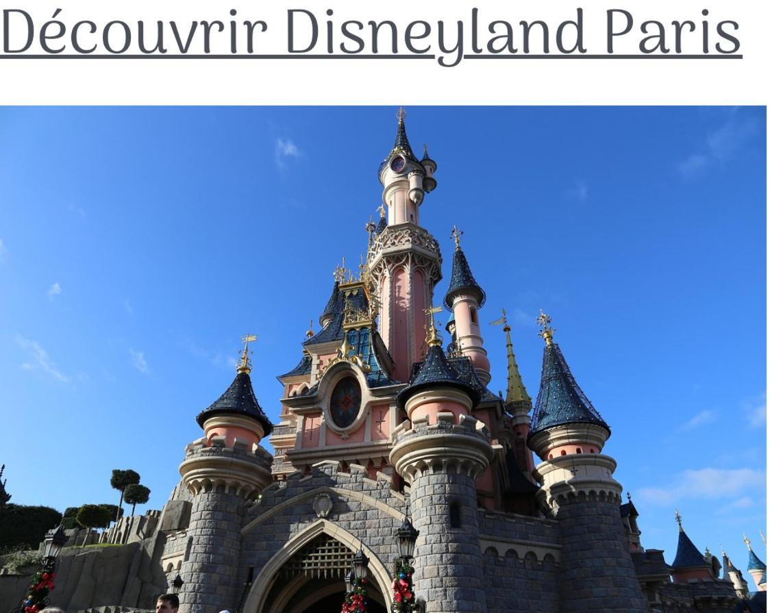 Proche Paris Et Disney-Calme Absolu Vaires-sur-Marne Buitenkant foto